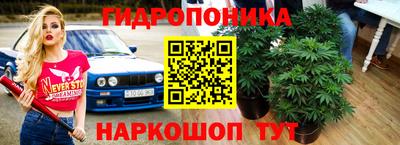 индика Изобильный