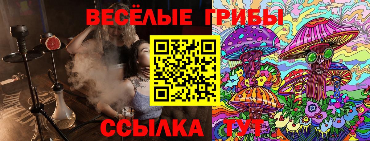 Псилоцибиновые грибы GOLDEN TEACHER Курчатов